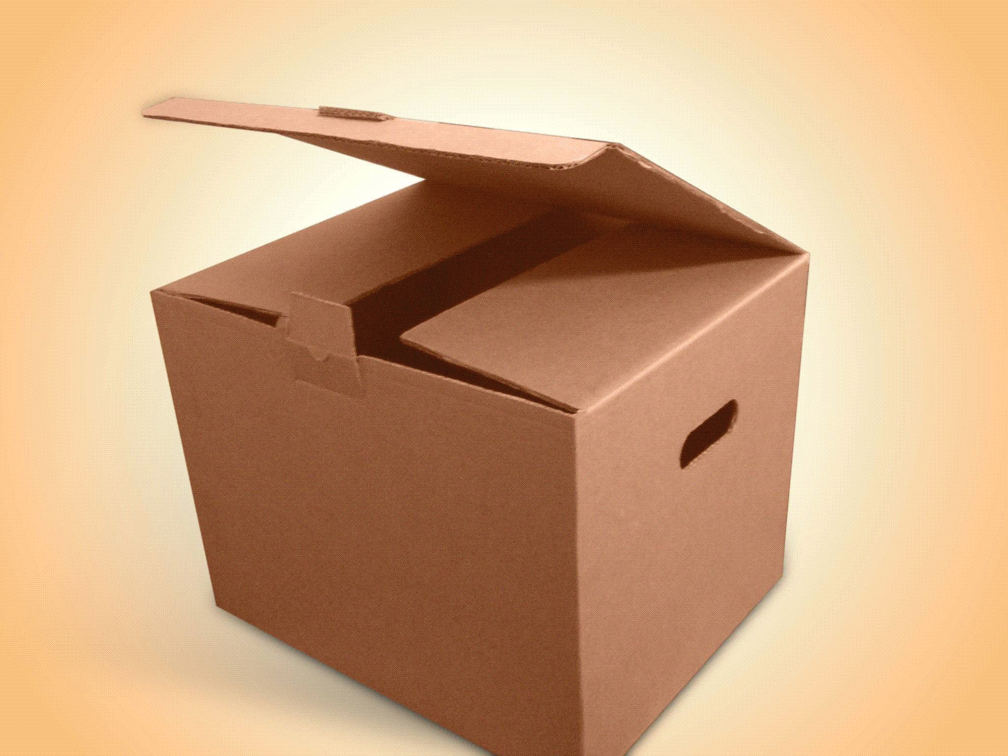 Packing Carton Box Manufacturer, Supplier & Exporter - ecplaza.net