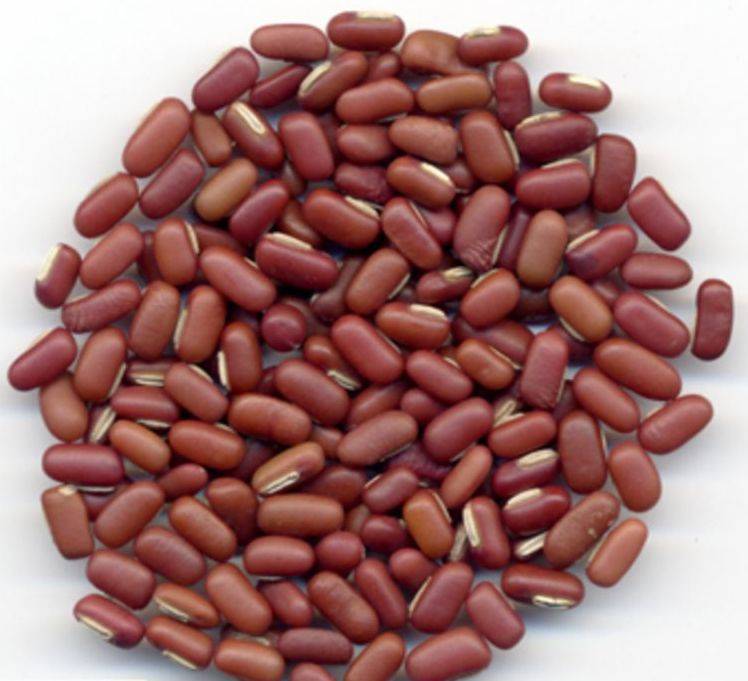 Adzuki bean facial