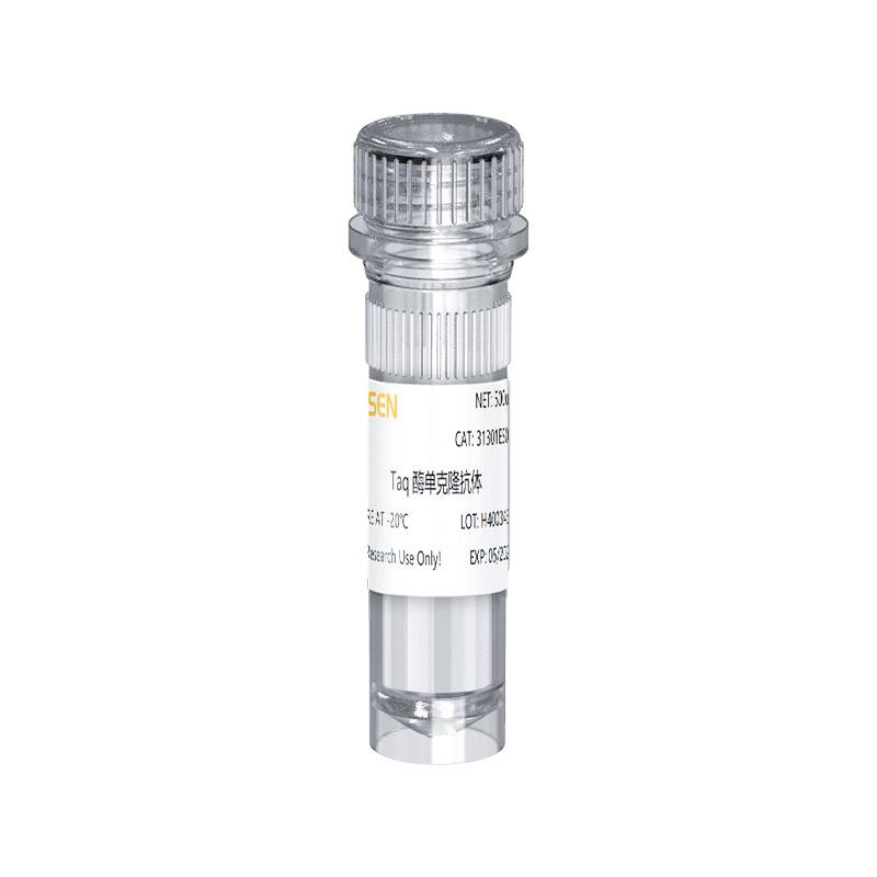 Hieff Anti Taq DNA Polymerase Antibody Yeasen Biotechnology