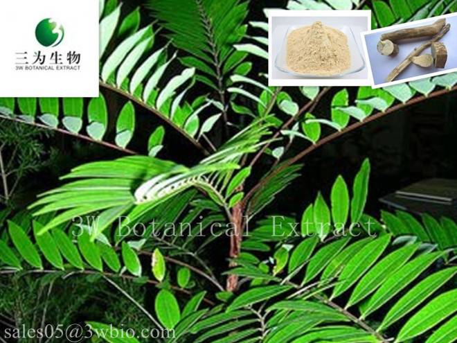 Eurycoma Longifolia Jack Sales Wbio W Botanical Extract Inc