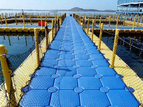 Cage Culture Fish Farm Aquaculture Buoys PUU JIUH Co Ltd Ecplaza Net