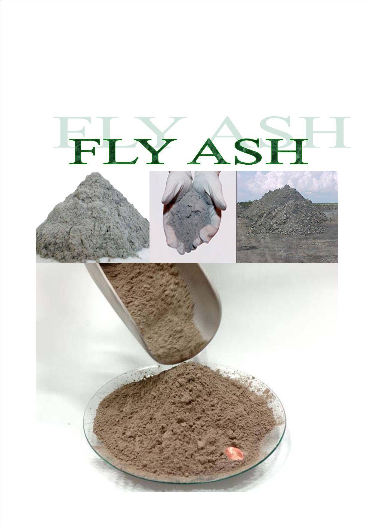 Fly Ash - Dev International