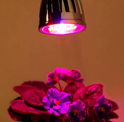 High Power Led Grow Light Plant Growing Light Pannel Led Light Garden