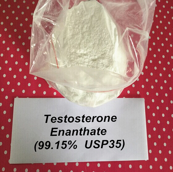 Testosterone Enanthate/ Test Enan CAS 315-37-7 - Zhongshan ...