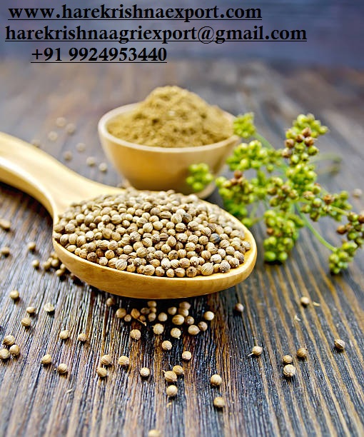 Coriander Seeds Hare Krishna Agri Export Ecplaza Net