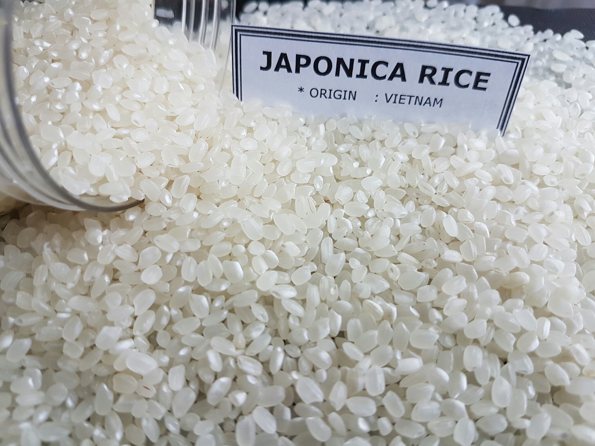 zoom-japonica-round-rice-whosaler-in-vietnam-japonica-rice-nutrition