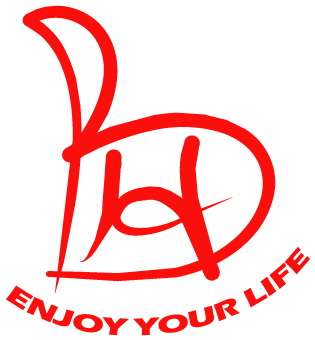 Big Home International Co., Ltd logo