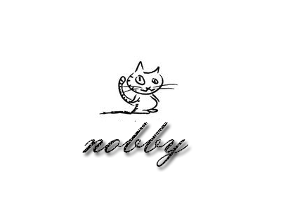 Dongguan Nobby Children's Products Co., Ltd. logo