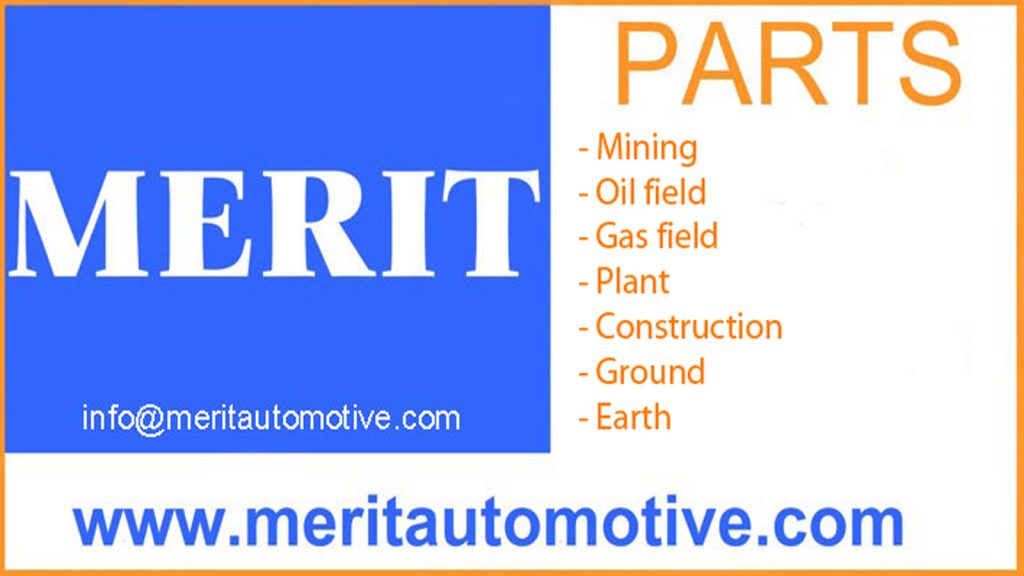 MERIT TR logo