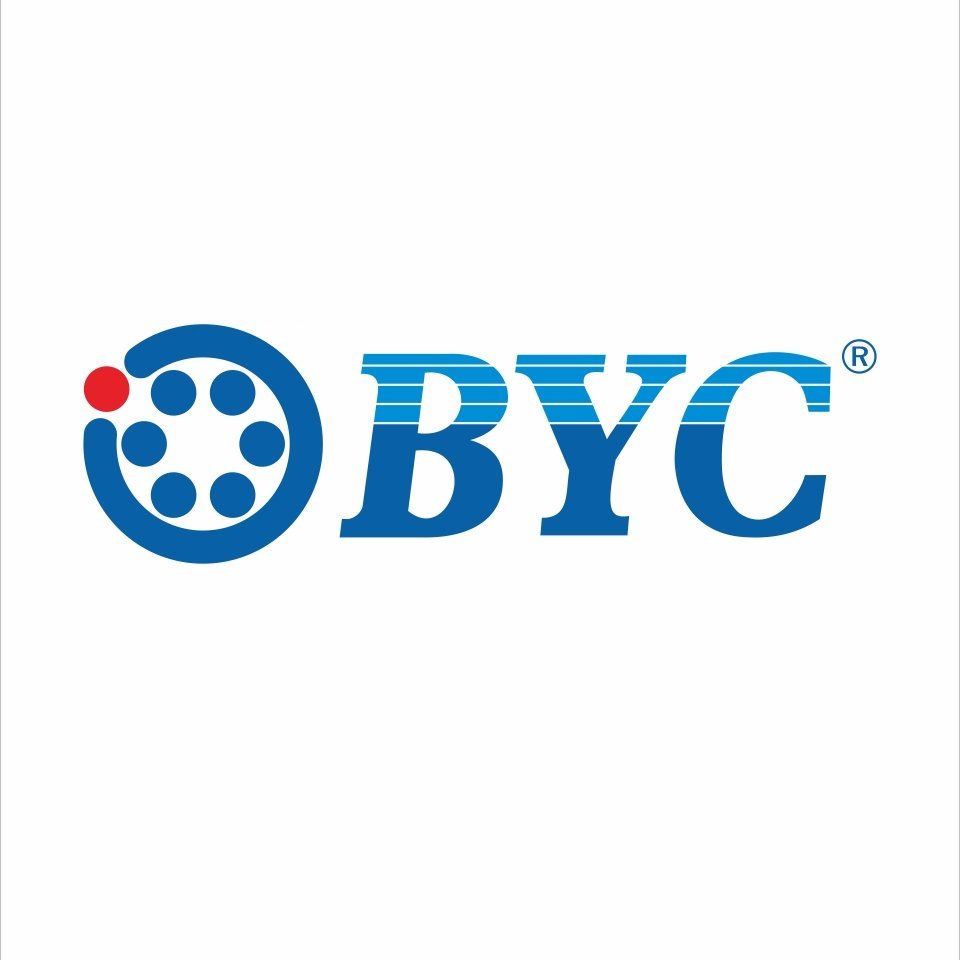 LuoYang BoYing bearing CO.,LTD logo