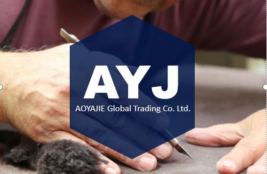 Beijing Aoyajie Global Trading Co., Ltd logo