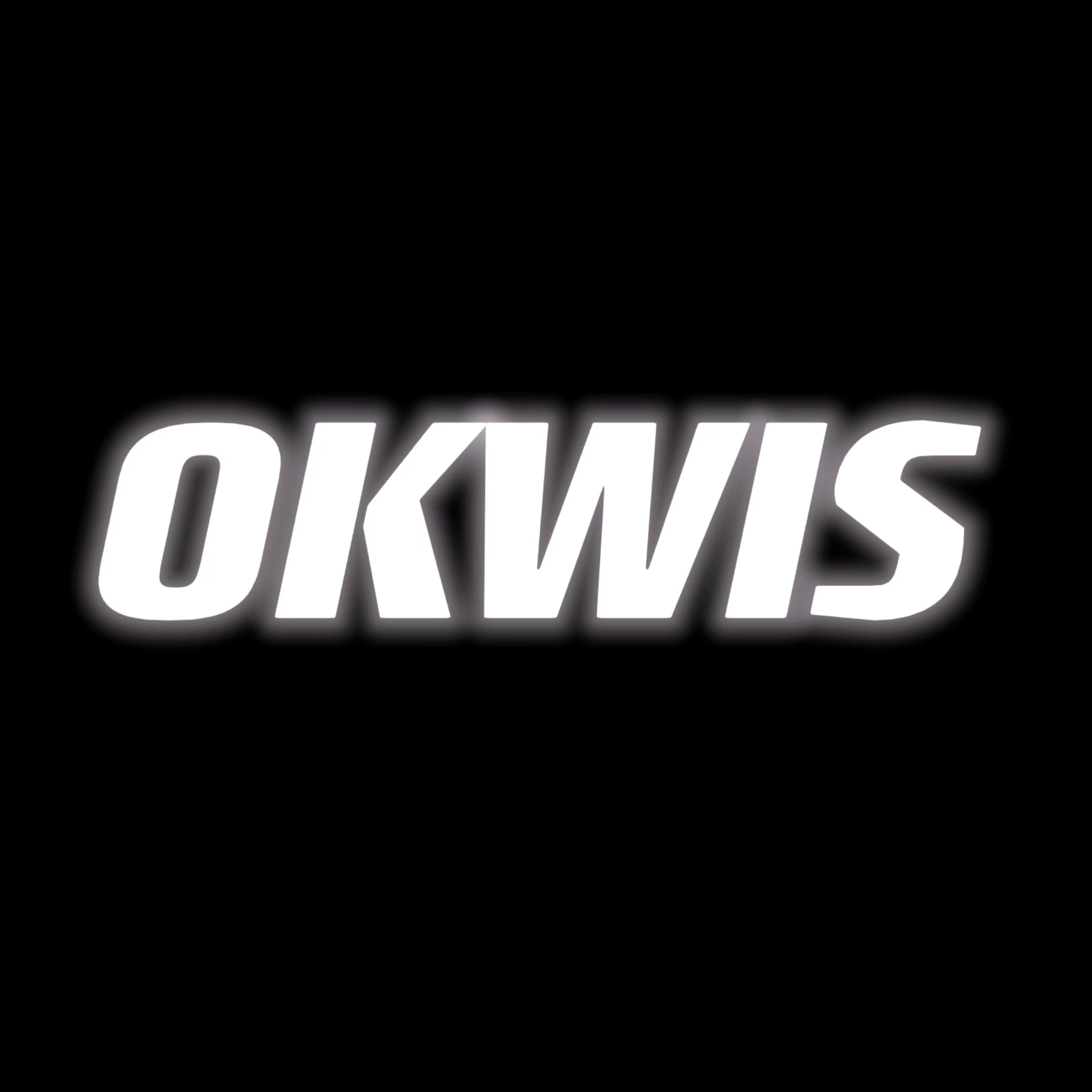 Okwis Lighting Co.,Ltd logo