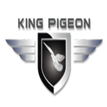 King Pigeon Communication Co.,Ltd. logo