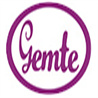 Wuxi Gemte Technology CO., Ltd logo
