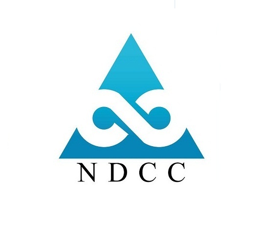 Qingdao Nalong Dingsheng Commerce Co., Ltd. logo