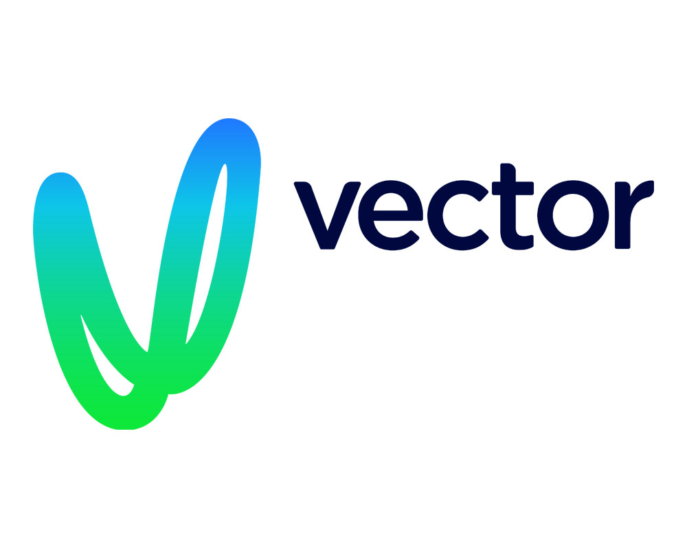 LLC "VECTOR" logo