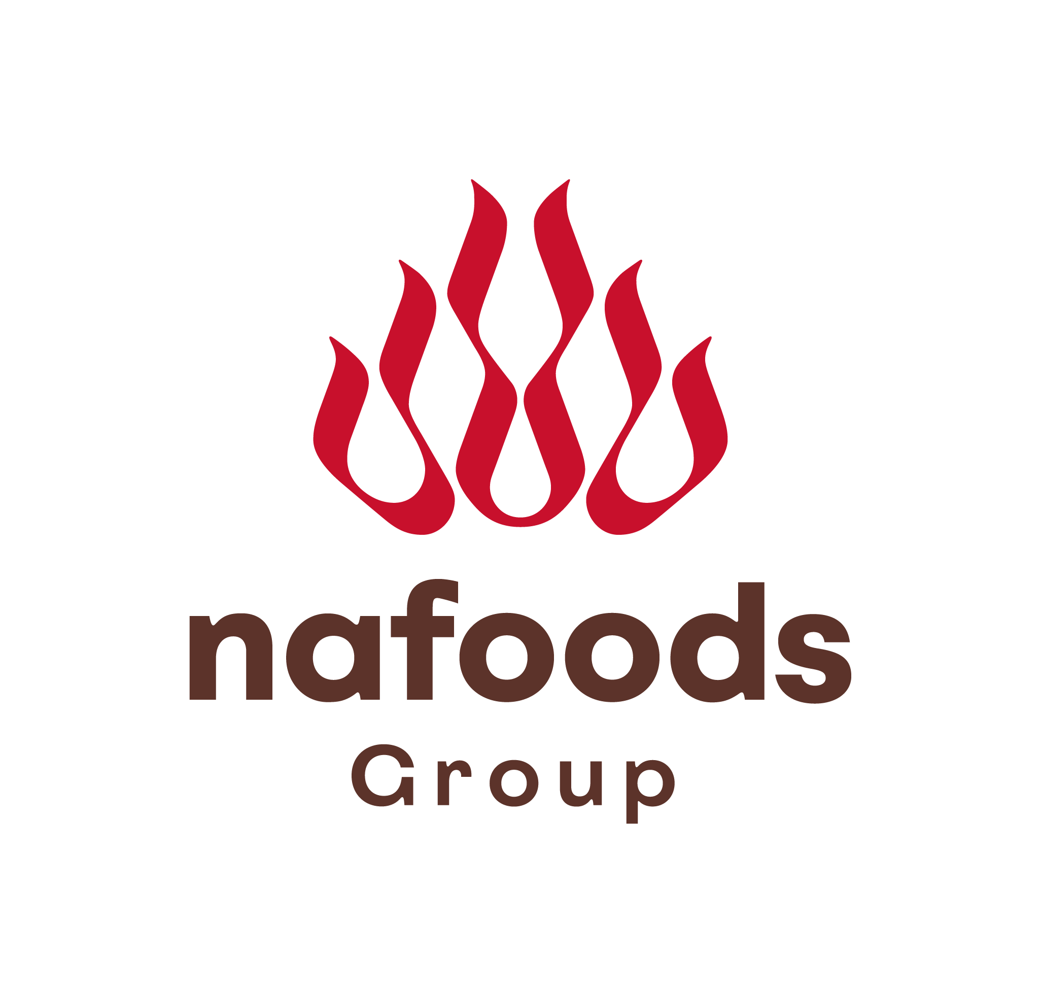 Nafoods Group JSC logo