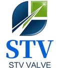 Stv Valve Technology Group Co.,limited logo