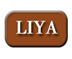 Jieyang Liya Hair Dryer Factory logo