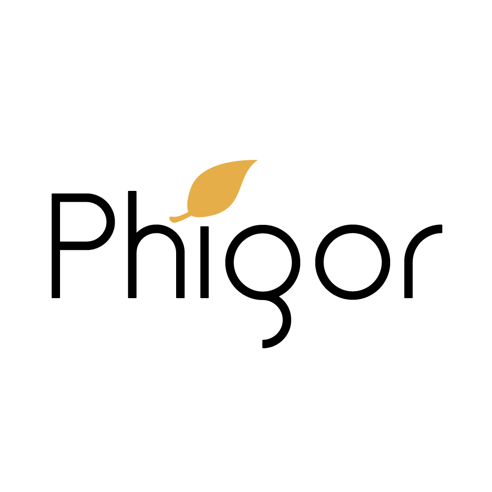 Hangzhou Phigor Technology Co., Ltd. logo