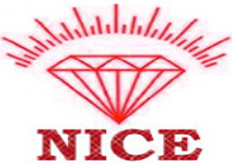 NICE Diamond Abrasives Co,.Ltd. logo