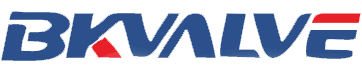 TIANJIN BKVALVE Manufacturing Co., Ltd logo