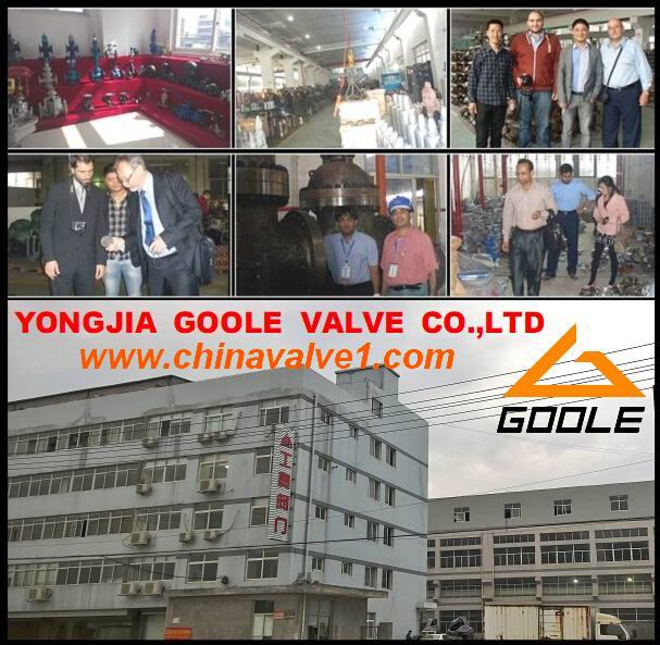 China Yongjia Goole Valve Co.,Ltd Main Image