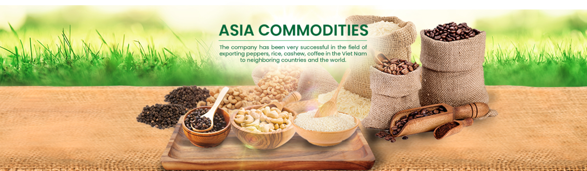 ASIA COMMODITIES COMPANY LIMITED Main Image