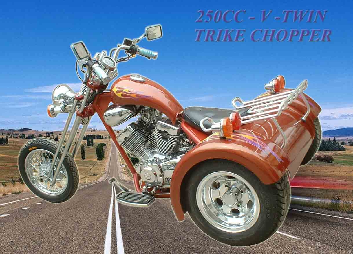 250cc v twin chopper