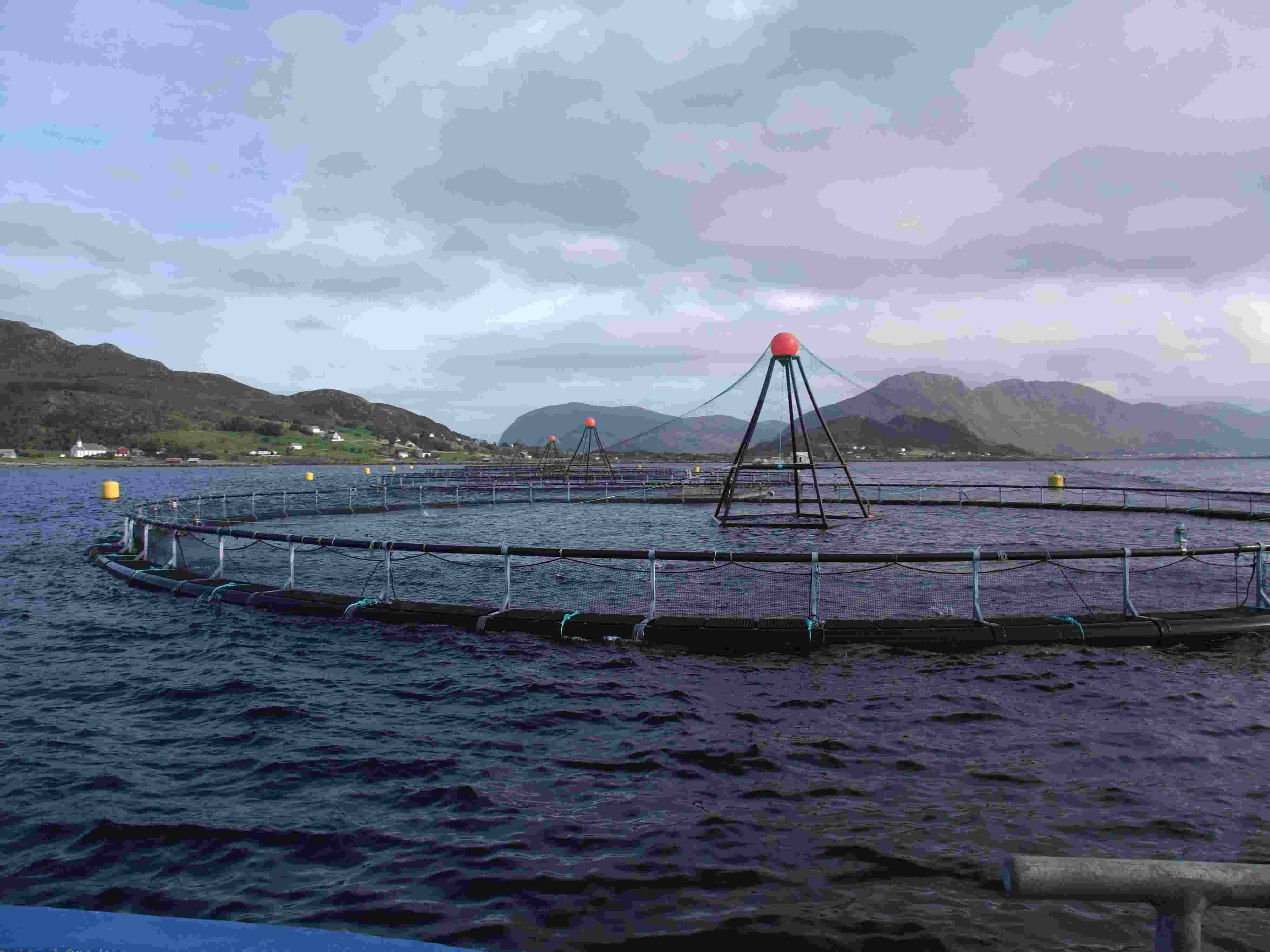 Fish Farming Cage Equipment (HDPE Floating Pipe) Manufacturer, Supplier ...