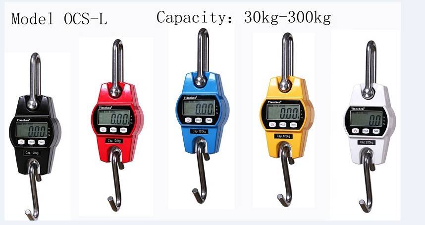 Вес на подвесе. OCS-l2-30. Load Scale model OCS m1. Индикатор Baiying t-232a. OCS 100s.