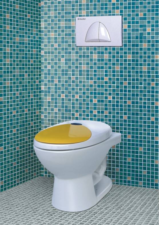 Floor Standing Toilet With Concealed Cistern Manufacturer, Supplier ...