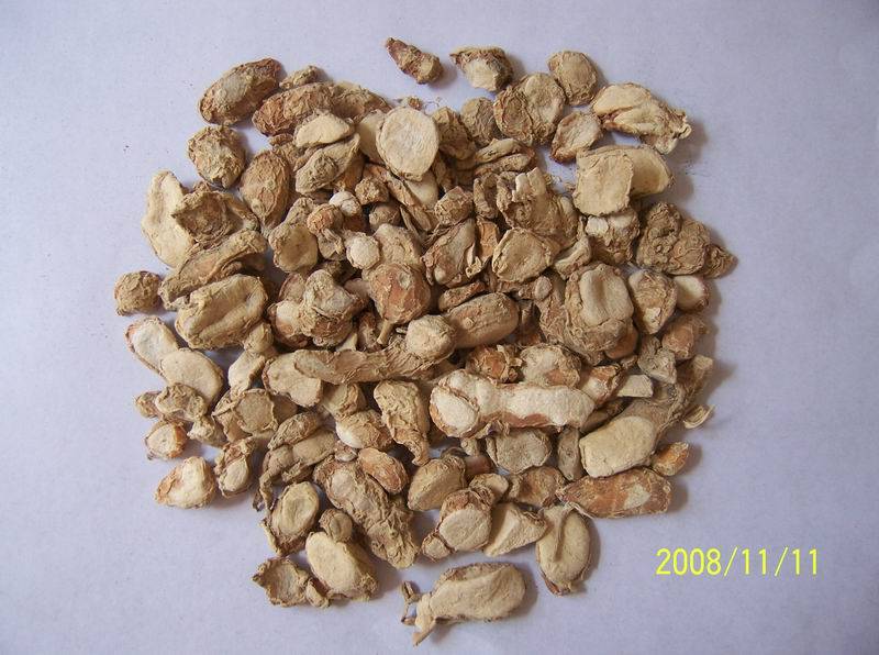 Buy Dried Slices Sand Ginger kaempferia Galanga Buyer 