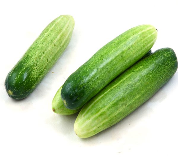 Fresh Cucumber ,Fresh Hybrid Cucumber Seeds,Baby Sedless Cucumbers ...