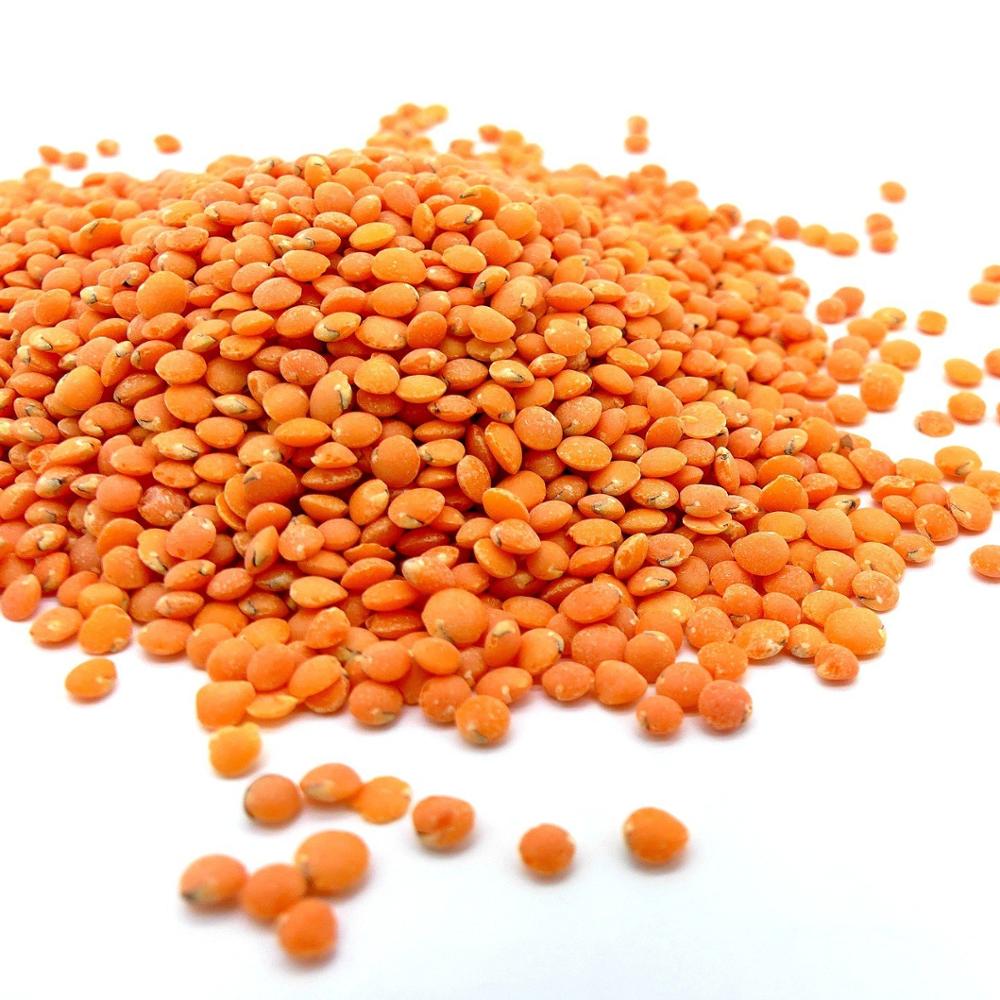 affordable-high-quality-red-lentils-red-lentils-price-red-lentils