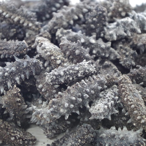 Dry Sea Cucumber Goldsun Ltd