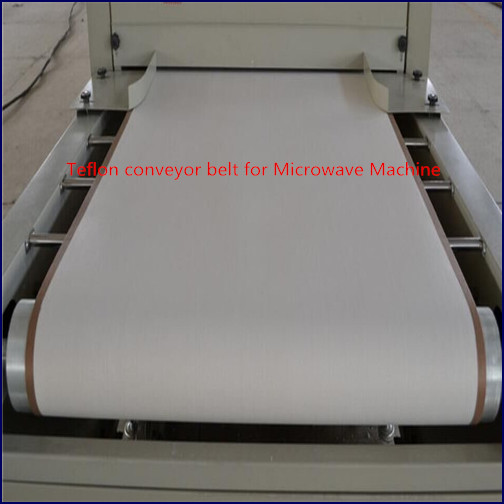 Teflon belt outlet conveyor