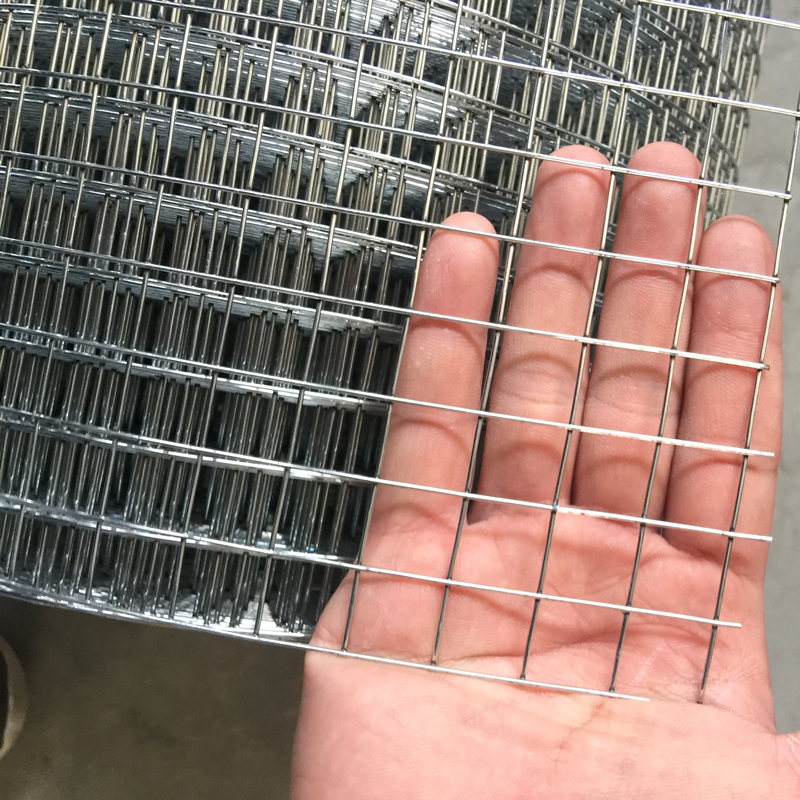 Hot Dipped Galvanized Or Pvc Coated Welded Wire Mesh Anping Sunflower