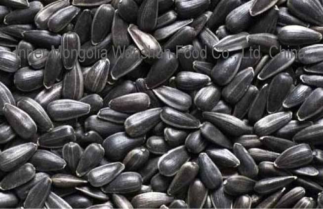 Sunflower Oil Seeds - Inner Mongolia Wanshun Food Co., Ltd. - ecplaza.net