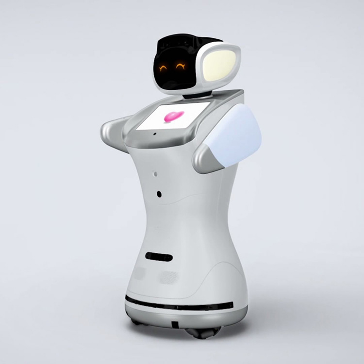 Open Api Interactive Humanoid Robot - Qihan Technology Co. Ltd ...