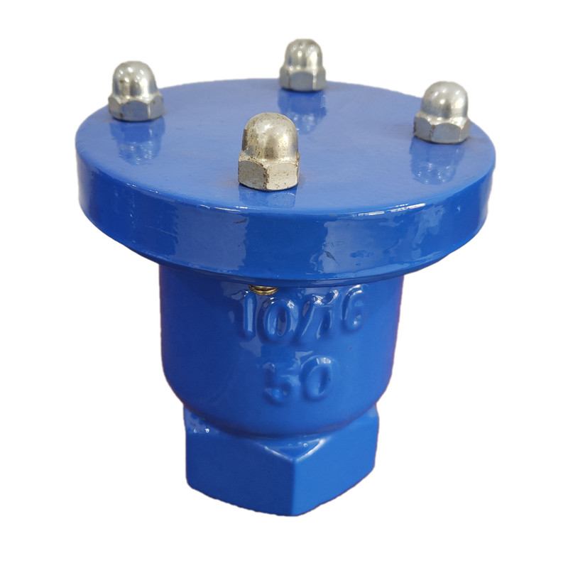 Ductile Iron Single Orifice Ball Thread Air Vent Release Valve - Anhui 