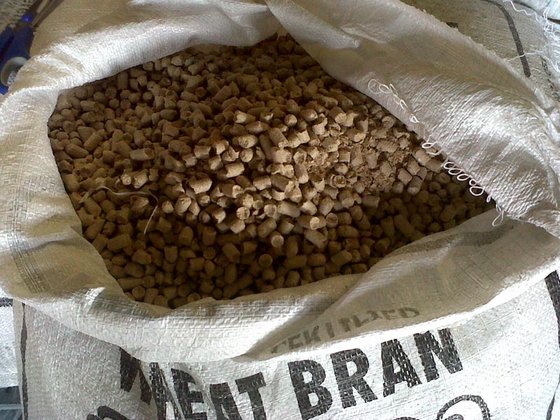 High Quality Wheat Bran For Animal Feed / Wheat Bran Pellets - TAMOLINESE  INTERNATIONALLC 