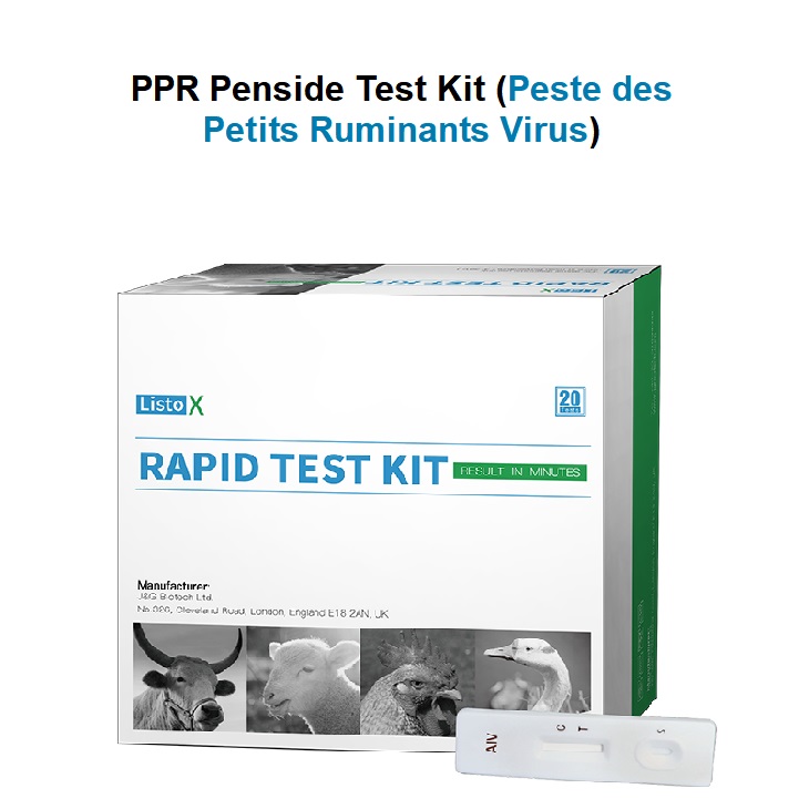 Ppr Penside Test Kit Peste Des Petits Ruminants Virus Jandg Biotech