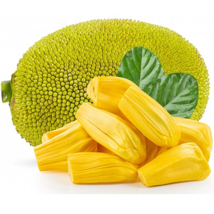 Jackfruit - DONG PHUONG VIET NAM HARVEST IMPORT EXPORT LIMITED COMPANY ...