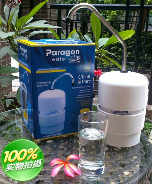 Paragon Maintenance Free Countertop Water Filter P3050ctd