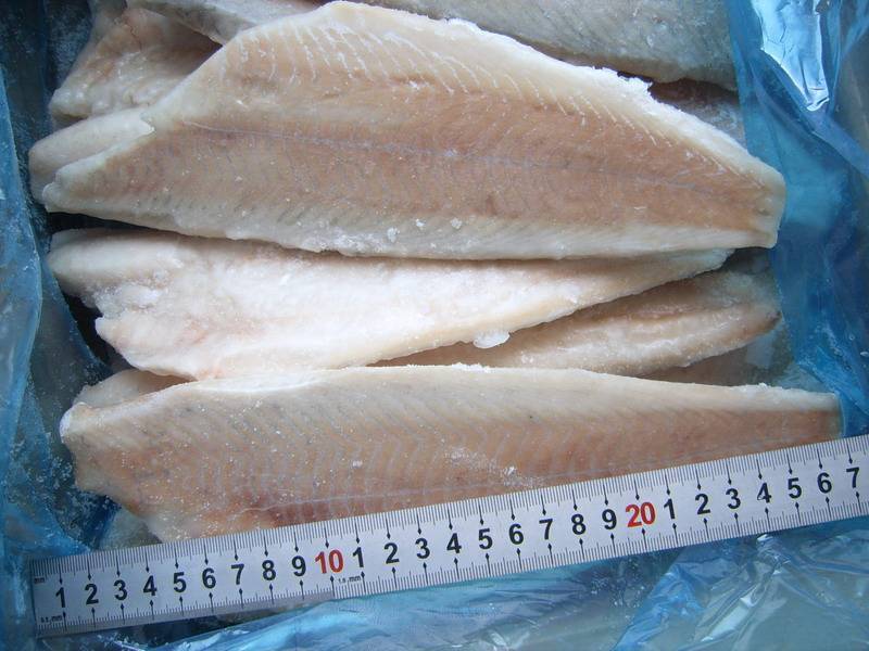 Frozen Saithe Fillet - Qingdao Bossery Imp&Exp Co.,ltd - ecplaza.net