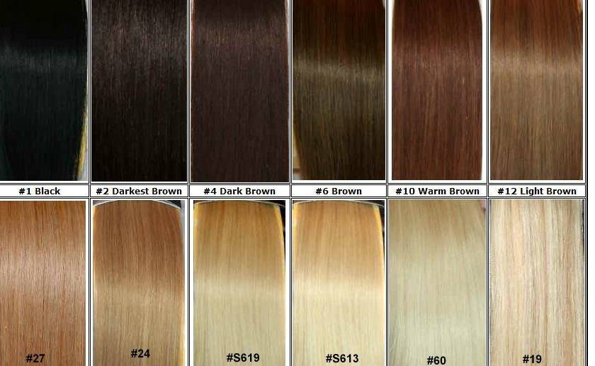 Color Chart Of Human Hair - Xuchang Xiruisi Hair Co.,Ltd - ecplaza.net