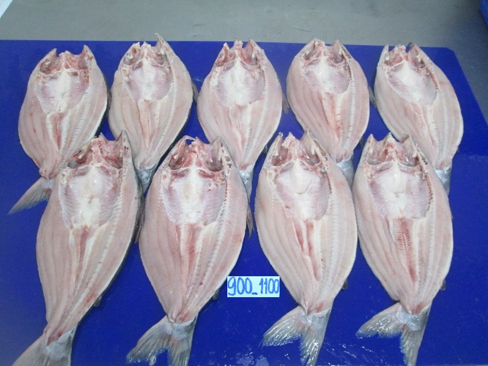 Frozen Pangasius Butterfly - INTERFISH COMPANY LIMITED - ecplaza.net