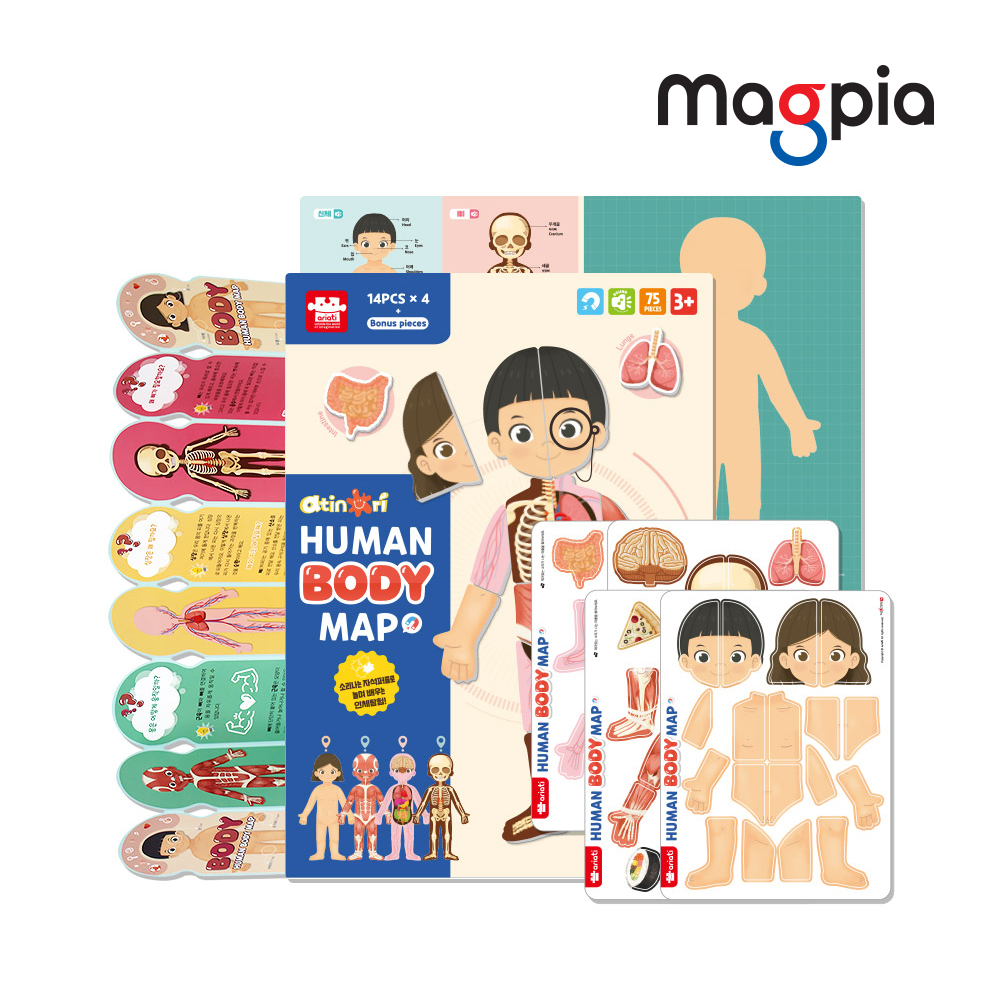 Human Body Map With Play Board - Magpia - ecplaza.net