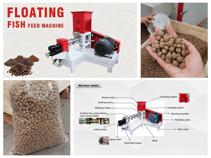 Common problems and solutions in the production of floating fish feed pellet